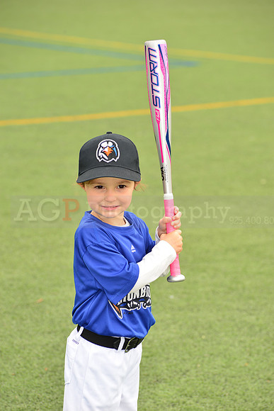 SB_TB_Ironbirds00022