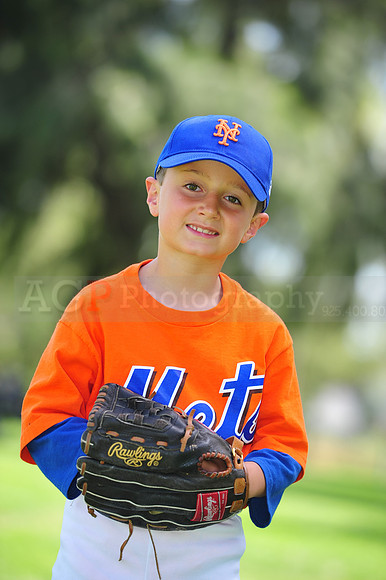 Farm_Mets105