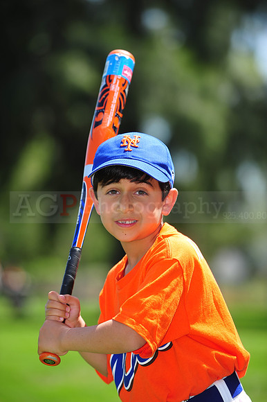 Farm_Mets038