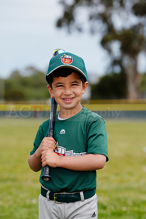 TBTinCaps00028