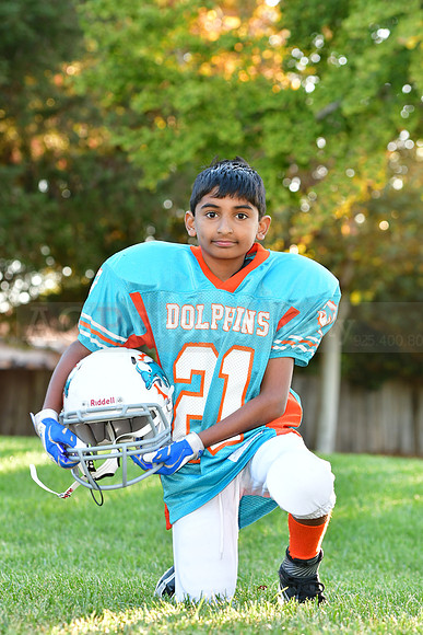 Dolphins114