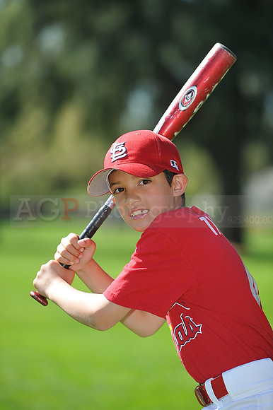 AA_Cardinals061
