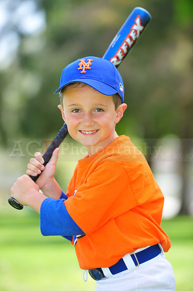 Farm_Mets108