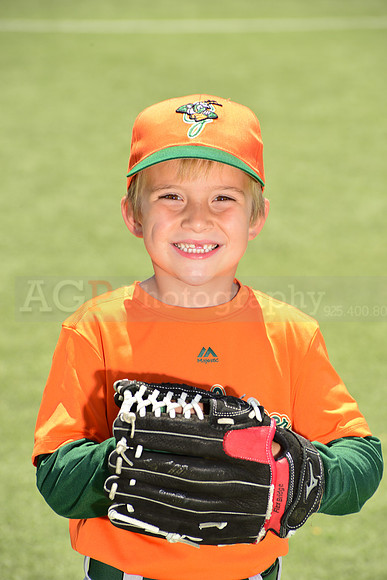 SB_TB_Grasshoppers00001
