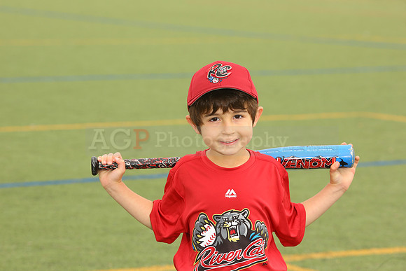 SB_TB_Ironpigs00010