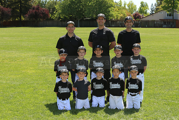 PLL_FM_Lugnuts00103