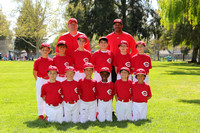 AA REDS