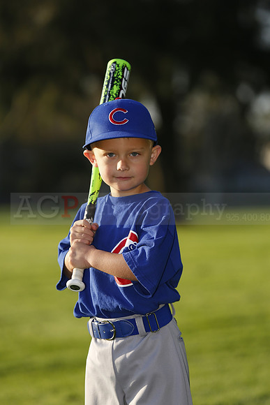 FarmCubs045