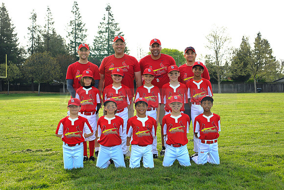 AACardinals066