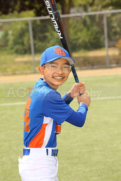 SB_BR_Mets00007