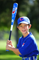 Farm_Cubs005