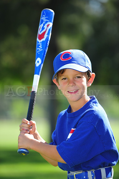 Farm_Cubs005