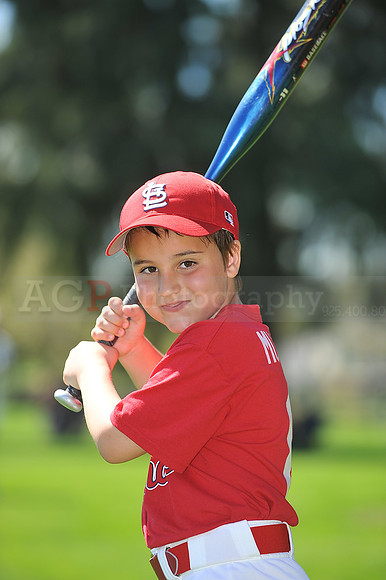 A_Cardinals107