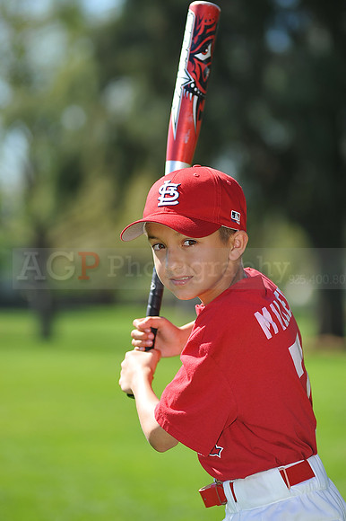 AA_Cardinals029