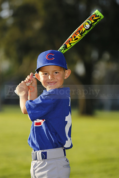FarmCubs039