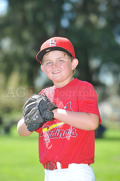 A_Cardinals068