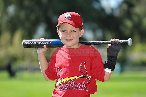 A_Cardinals009