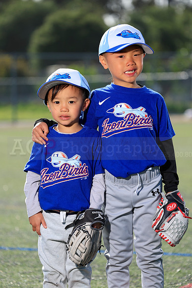 SB_TB_IronBirds060