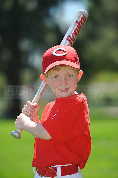 T-Ball_Reds058
