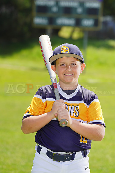 SB_PW_Lions004