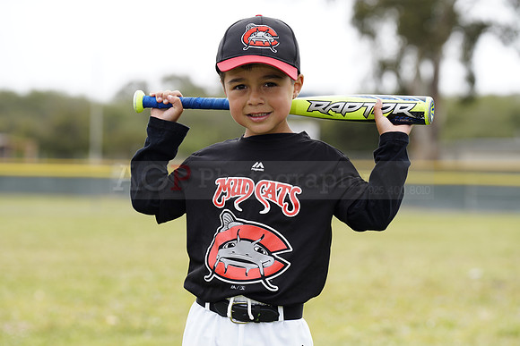 TBMudcats00165