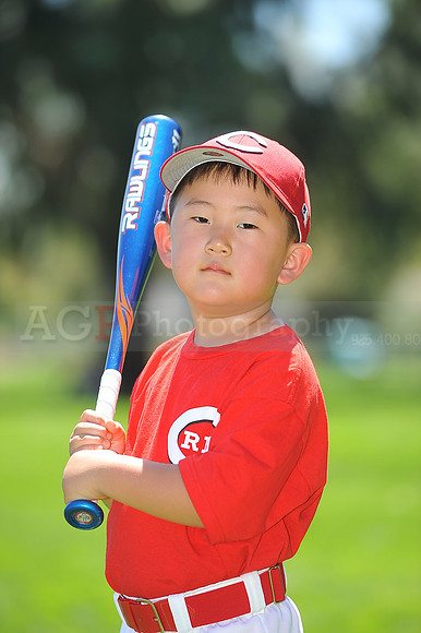 T-Ball_Reds021
