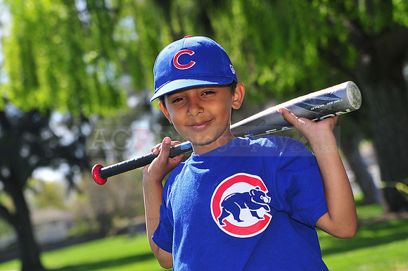 FMCubs042