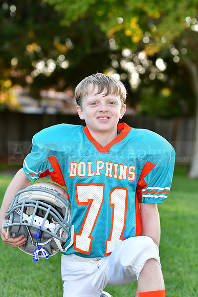 Dolphins026