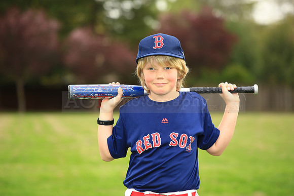 AARedsox089