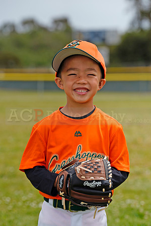 TBGrasshoppers00024