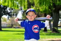 FMCubs009