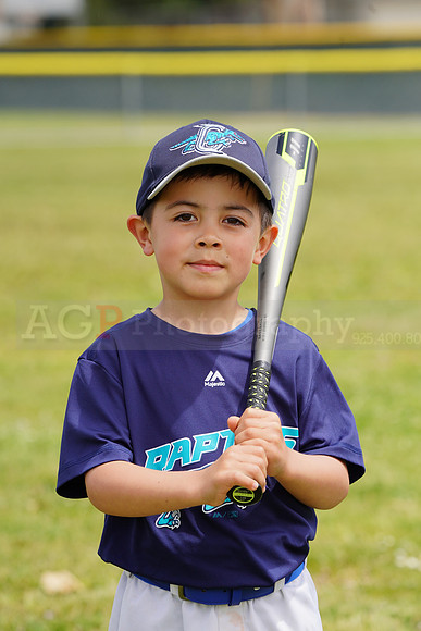 AGP09205
