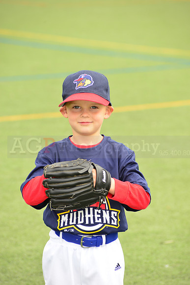 SB_TB_mudhens00069
