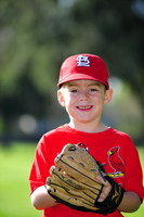 FARM CARDINALS