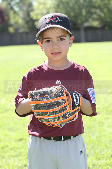 FMTimberRattlers060