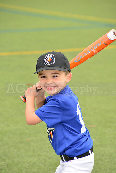 SB_TB_Ironbirds00059