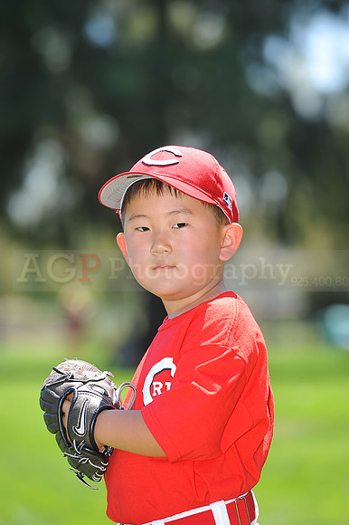 T-Ball_Reds017