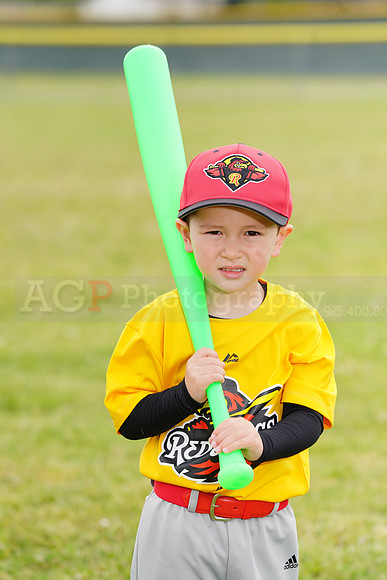 AGP08918