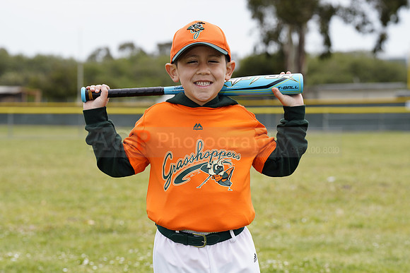 TBGrasshoppers00009