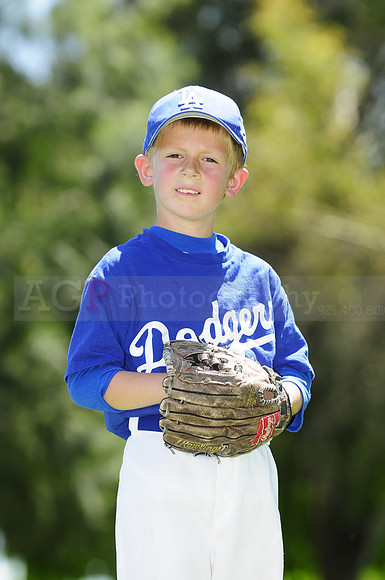 FarmDodgers002