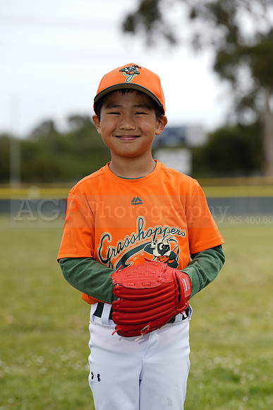 TBGrasshoppers00111