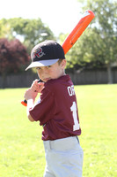 FMTimberRattlers018