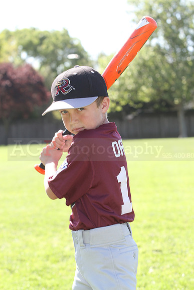 FMTimberRattlers018