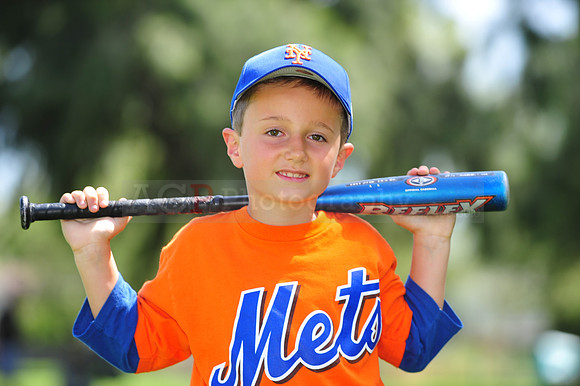 Farm_Mets109
