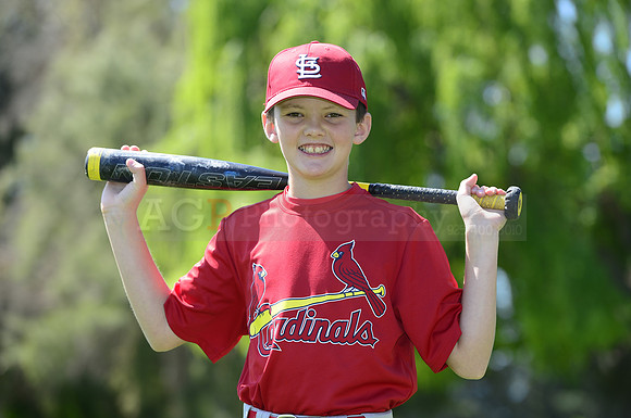 AAA Cards085