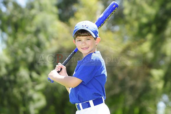 FarmDodgers034