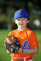 A_Mets002