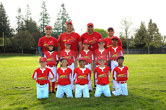 AACardinals065