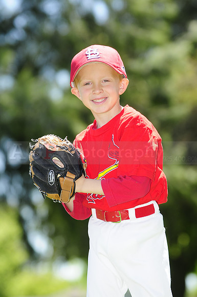 FarmCards091