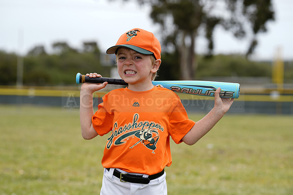 TBGrasshoppers00053